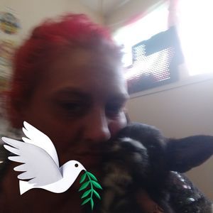 Meet your Posher, Janis